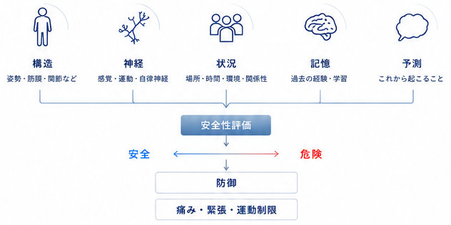 身体は「安全性」を絶えす評価している。